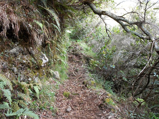 Une portion caillouteuse et terreuse