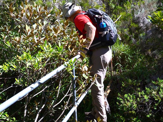 Test pour savoir si la passerelle de la Ravine Citron Galet est encore solide