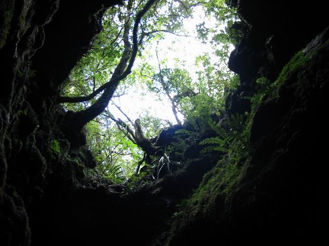Une des nombreuses cavernes de la Ravine Citron Galet