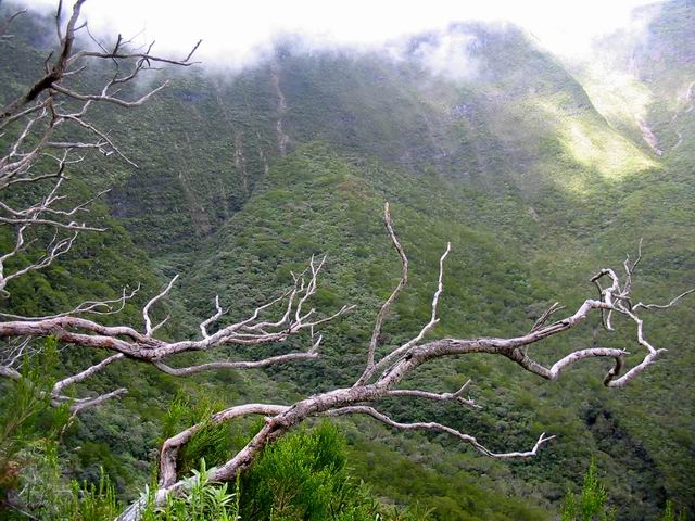 La remontée est sportive mais offre de belles vues sur la vallée