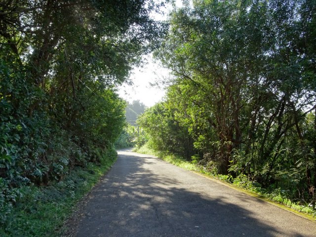 Le début du Chemin du Solitaire