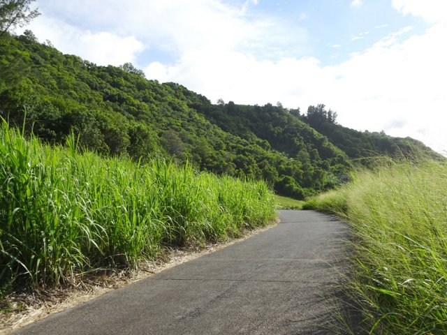 Le même Chemin du Solitaire dans les grandes herbes