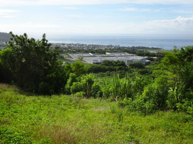 Le nouveau complexe commercial qu'il faut contourner