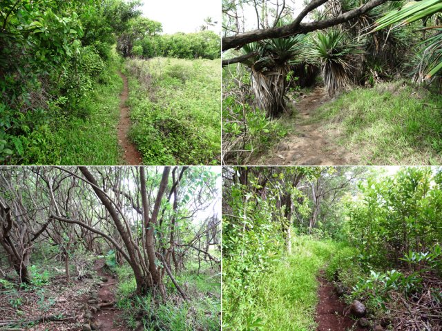 Balade facile le long des falaises par un sentier littoral