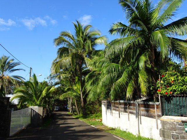 Le village de Manapany, vert et fleuri
