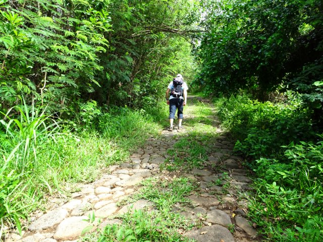 Montée du Chemin Pavé des Anglais