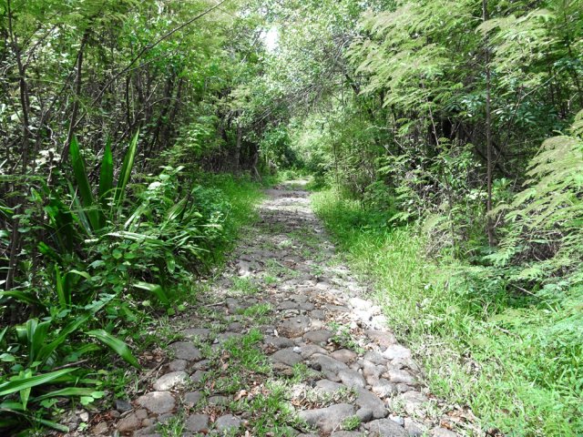 La portion pavée est encore en très bon état