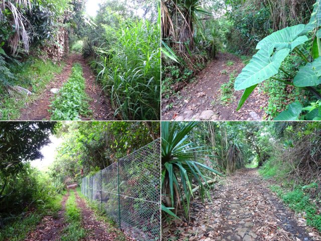 Quatre tronçons du Chemin César
