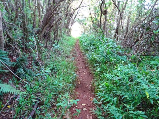 La piste finit et se transforme en agréable sentier