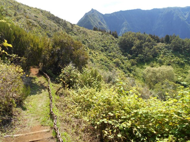 Le sentier redescend en direction des filaos et platanes