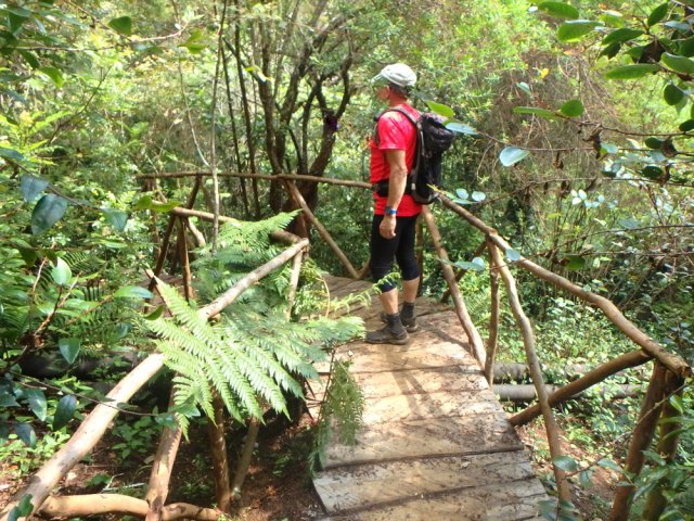 Le petit pont de bois dans les fleurs jaunes