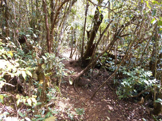 Le sentier qui redescend en direction des kiosques et du parking