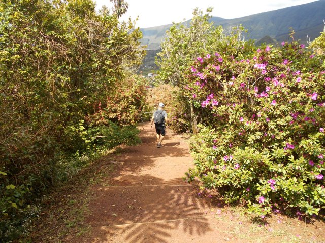 Début de la descente bordée d'azalées