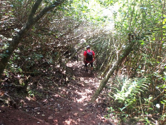 Portion de sentier en descente sur une terre rouge glissante