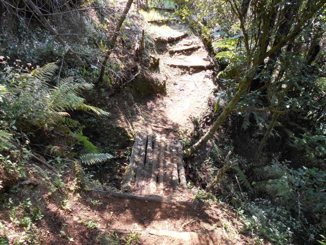 Petit pont de bois sur une mini-ravine