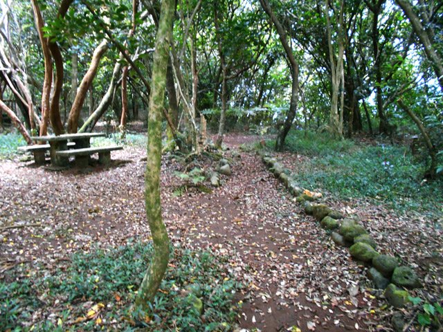 La dernière table de pique-nique en aval, début du sentier de jonction avec le Bérénice