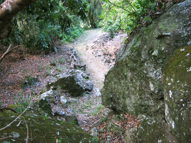 Fin de la boucle aux rochers et aux bananiers