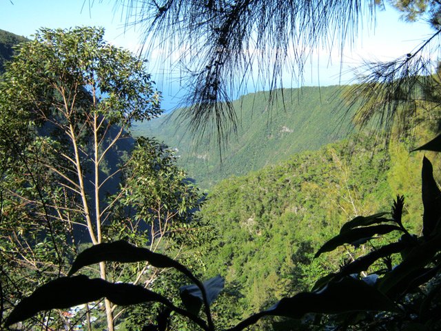 Vue sur la vallée en remontant le sentier Tarzan
