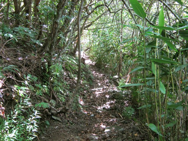 Le sentier est étroit mais très praticable
