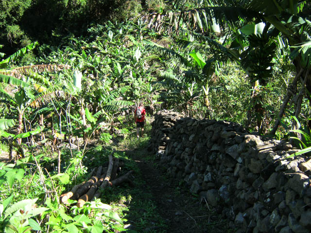 Tout début du sentier de Grand Galet à Grand Coude