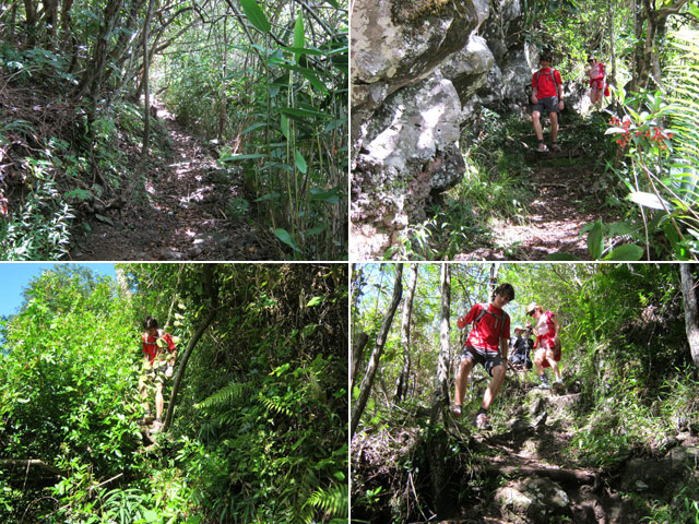 Quelques portions plus difficiles du Sentier Bérénice