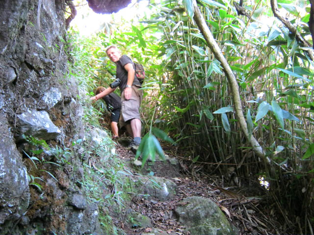 La montée, entre bambous et rochers