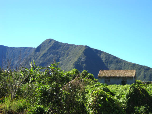 Vue sur les Hauts de la Crête. Vieille case dans les chouchous