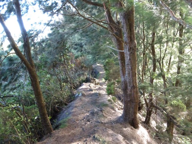 L'étroit rein peuplé de filaos qui annonce la descente