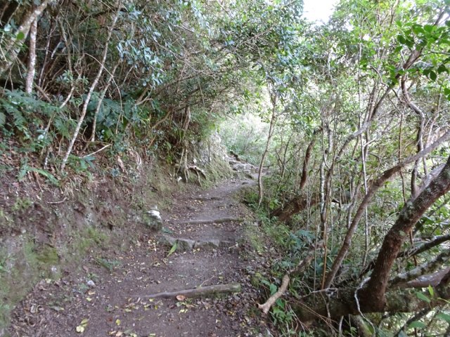 Une portion plate du Sentier Scout