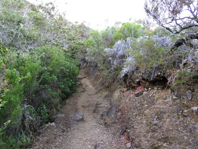 Une autre portion du sentier avant la descente en lacets
