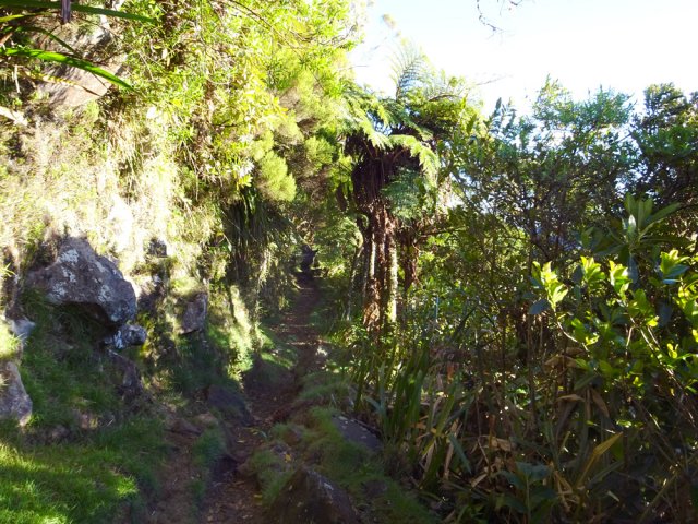 Très vite, le parcours deviens très agréable