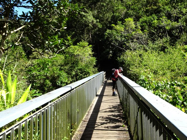 Traversée du profond canyon du Bras Bémale