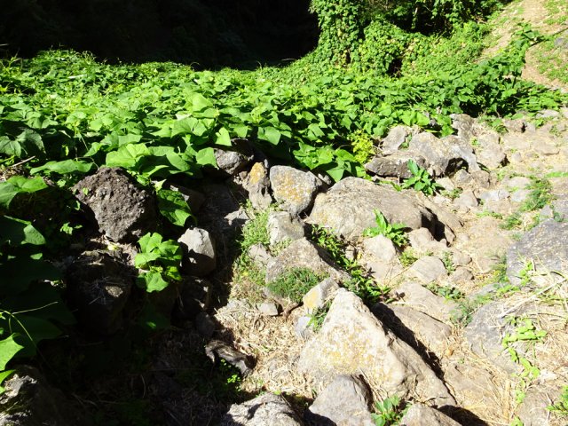 Montée très caillouteuse à travers les chouchous