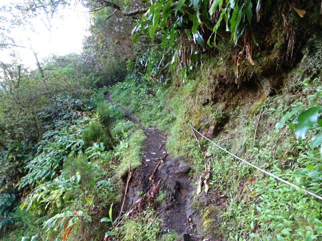 Le sentier est très bien sécurisé dès le départ