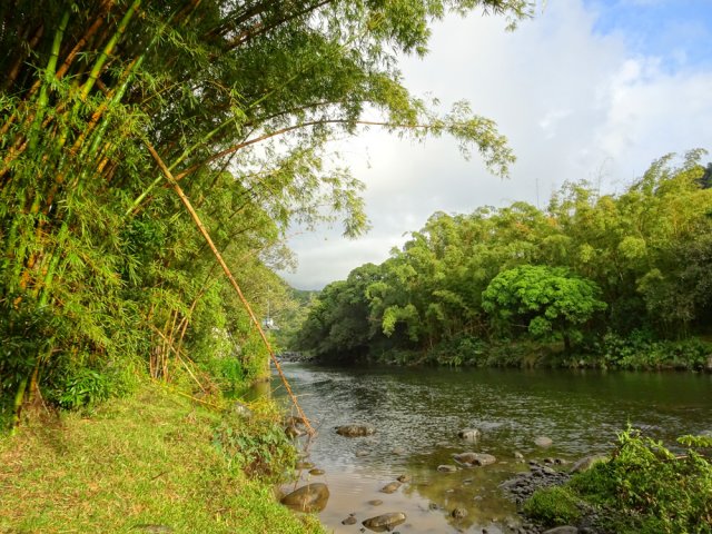 L'eau est plus calme qu'ailleurs sur cette partie plane