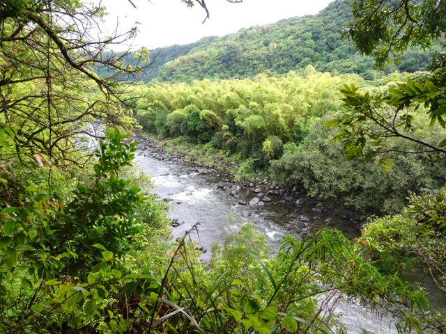 On s'élève en empruntant la piste en rive droite