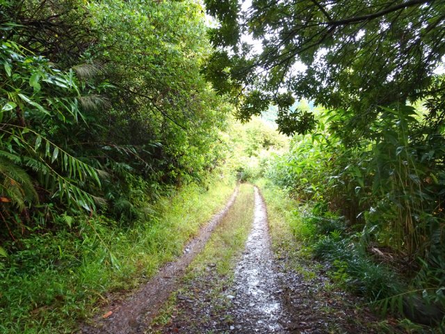 La piste peut être boueuse et glissante dans les fortes pentes