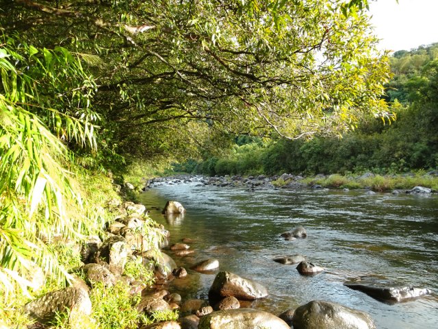 Le sentier en rive droite est plutôt un passage sur la rive entre les galets