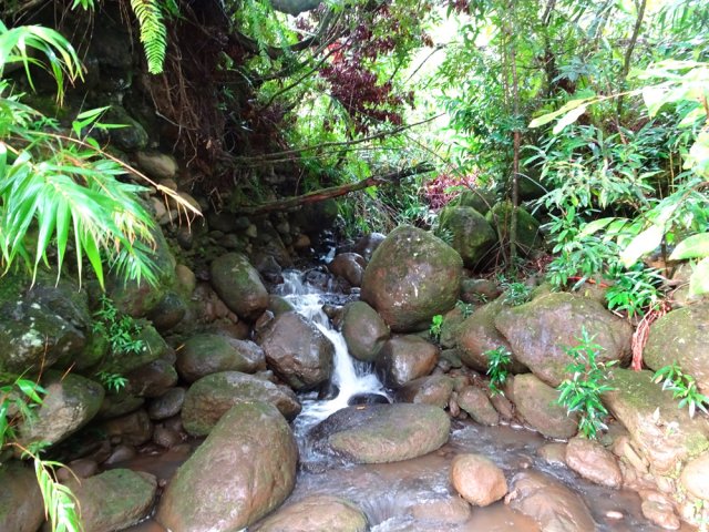 Plusieurs petites ravines finissent leur course dans la rivière