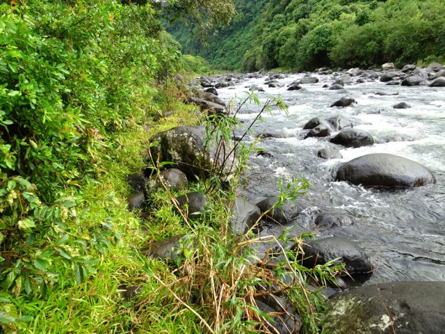 Une autre idée du passage étroit sur la rive