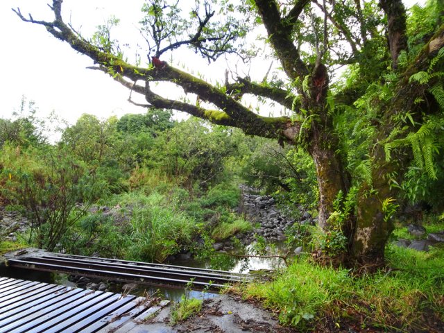Un pont métallique au-dessus d'un bras de la Rivière des Marsouins