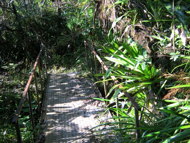Une parmi la douzaine de passerelles à utiliser pour franchir des petites ravines