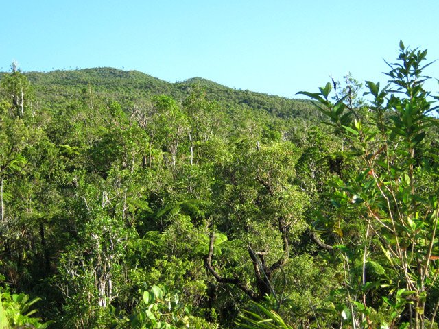 Quelques rares trouées vers le sommet