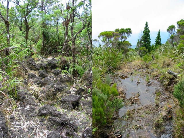 Contraste important en fonction de l'altitude du sentier
