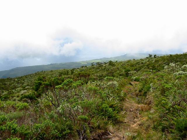Une autre portion du sentier, étroite et caillouteuse