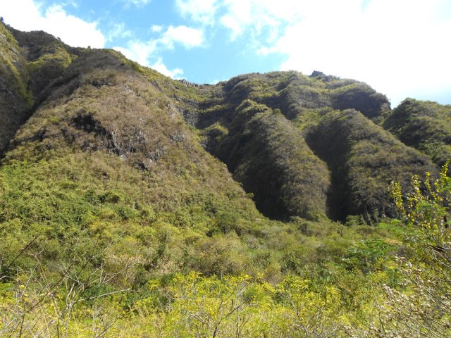 Rempart déchiqueté à l'approche de Sans Souci