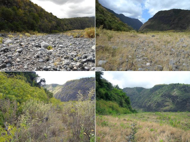 Quelques portions avec ou sans sentier pour rejoindre le sentier Malidé