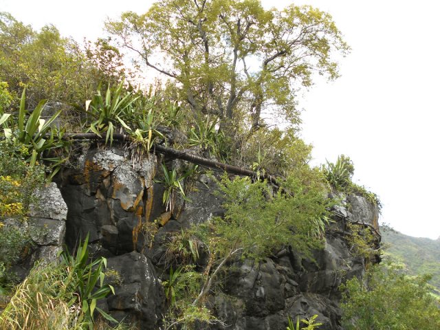 Le rocher caractéristique et son arbre servant de repère