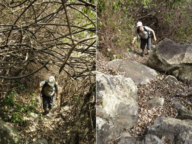 Le sols est le plus souvent caillouteux