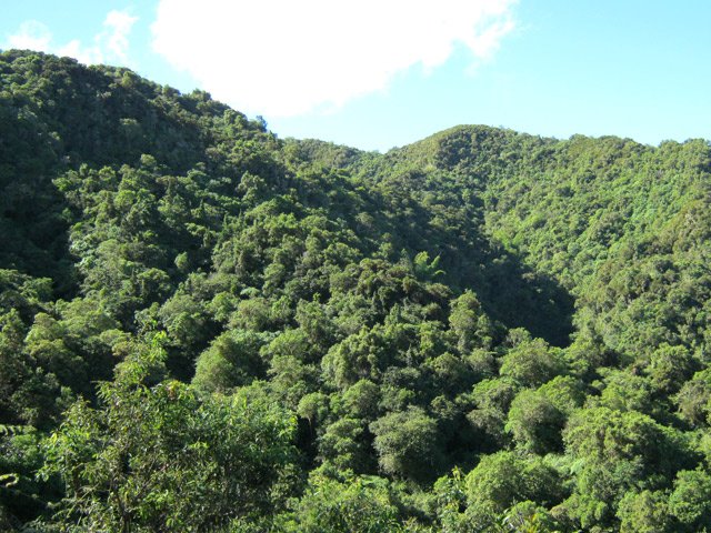 Les pitons alentour dont le Piton Deveau